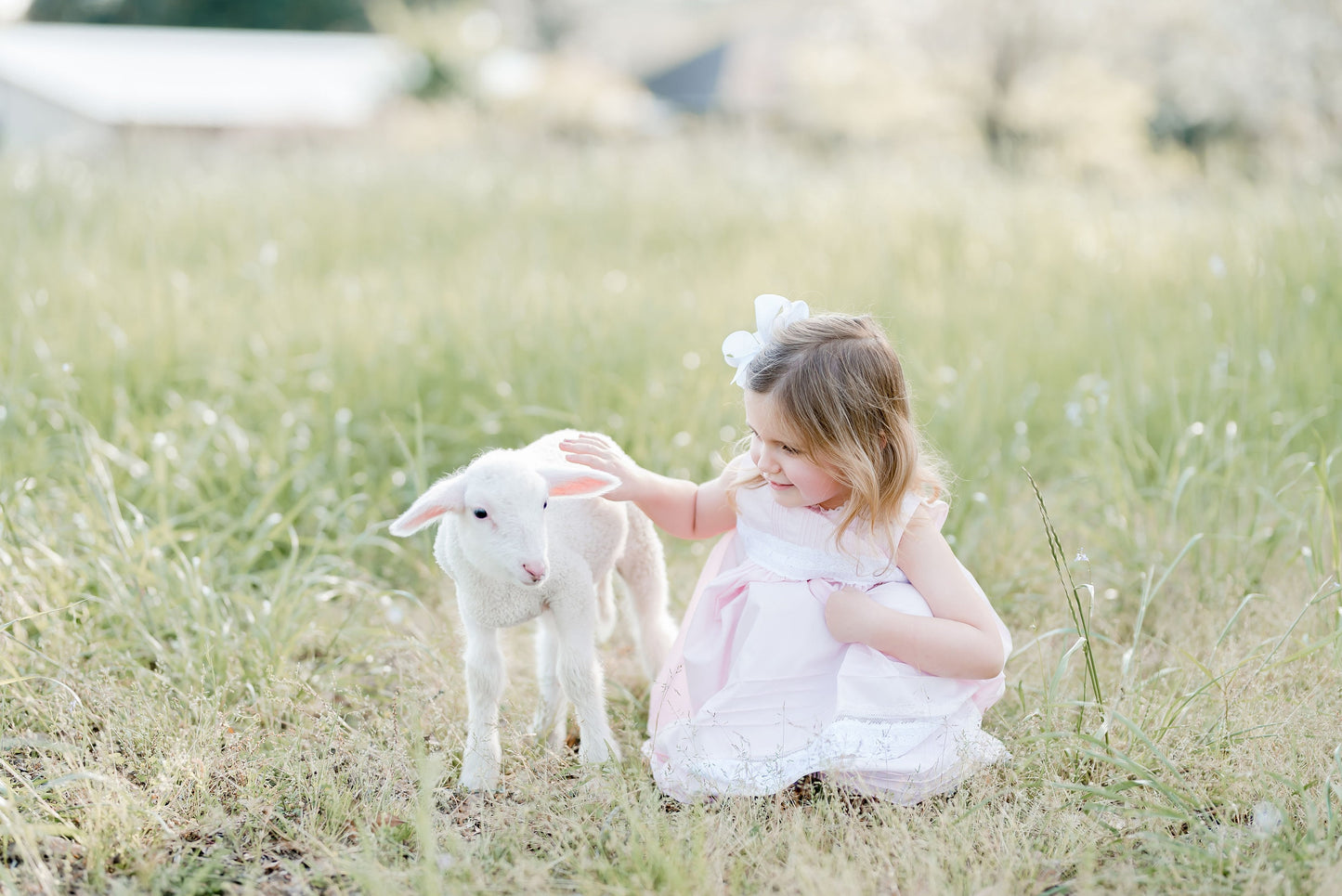 Raindrops on Roses Heirloom Dress in Pink